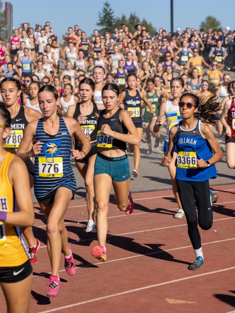 DyeStat.com - News - Backstage With Untold Cross Country History: 30 Years  After Ground-Breaking Reporting On Girls' Running Injuries, Have Things  Gotten Better?